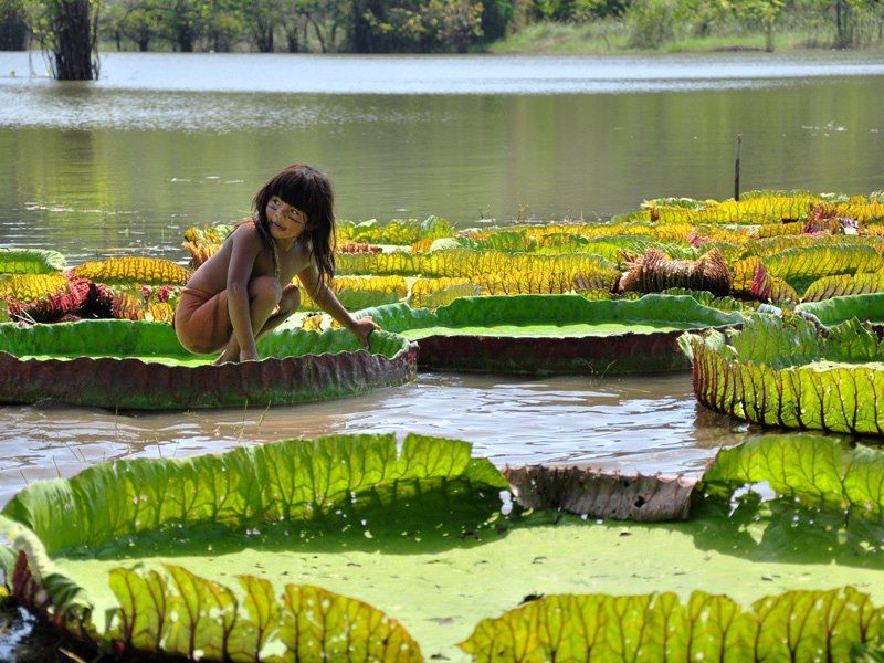 AMAZONE-SE!!!